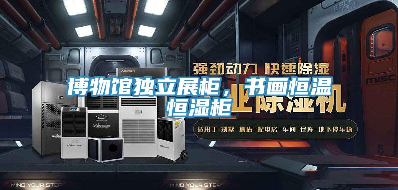 博物館獨立展柜,書畫恒溫恒濕柜
