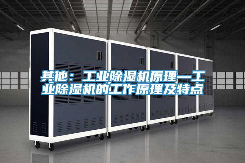 其他:工業(yè)除濕機(jī)原理—工業(yè)除濕機(jī)的工作原理及特點(diǎn)