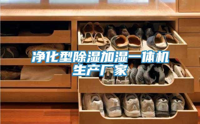 凈化型除濕加濕一體機生產廠家