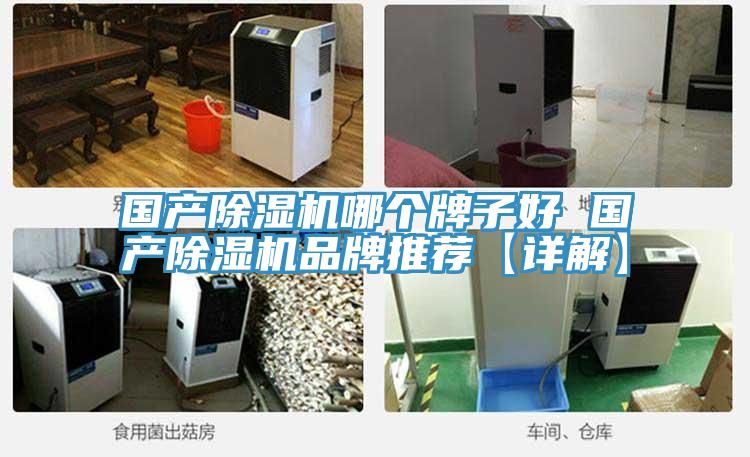 國產除濕機哪個牌子好 國產除濕機品牌推薦【詳解】
