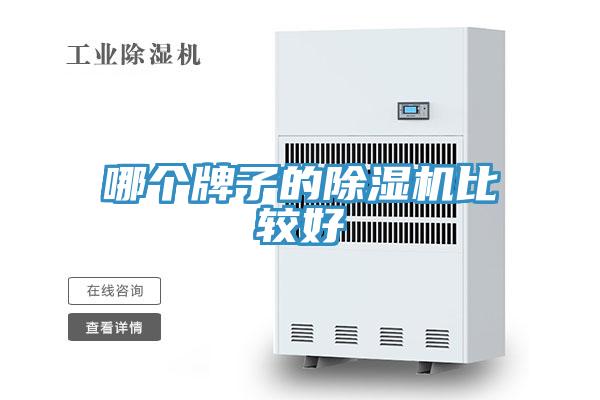 哪個牌子的除濕機比較好
