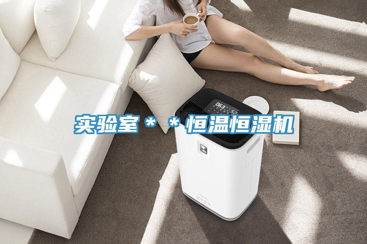 實(shí)驗(yàn)室**恒溫恒濕機(jī)