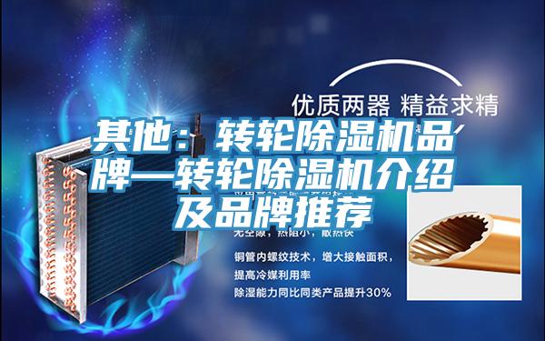 其他:轉(zhuǎn)輪除濕機(jī)品牌—轉(zhuǎn)輪除濕機(jī)介紹及品牌推薦