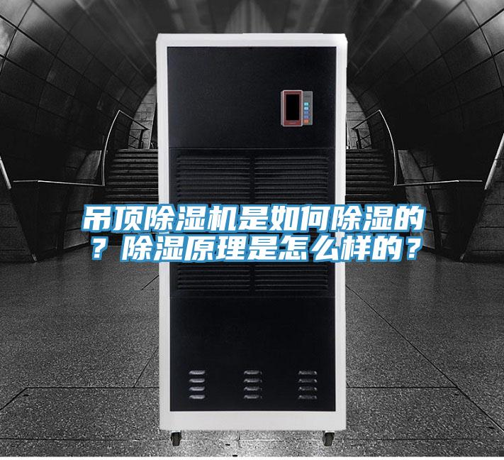 吊頂除濕機是如何除濕的？除濕原理是怎么樣的？