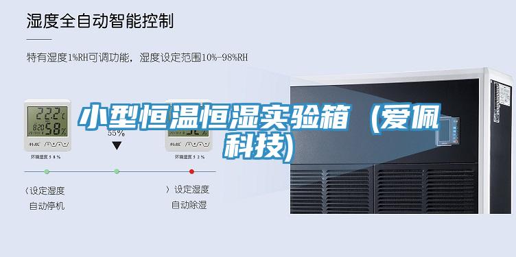 小型恒溫恒濕實驗箱 (愛佩科技)