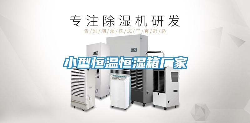 小型恒溫恒濕箱廠家