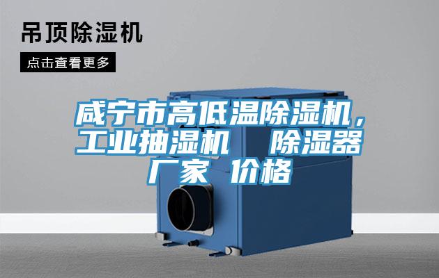 咸寧市高低溫除濕機,工業抽濕機 除濕器廠家 價格