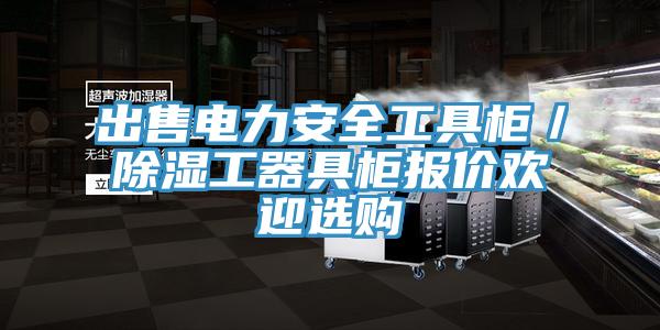出售電力安全工具柜／除濕工器具柜報價歡迎選購