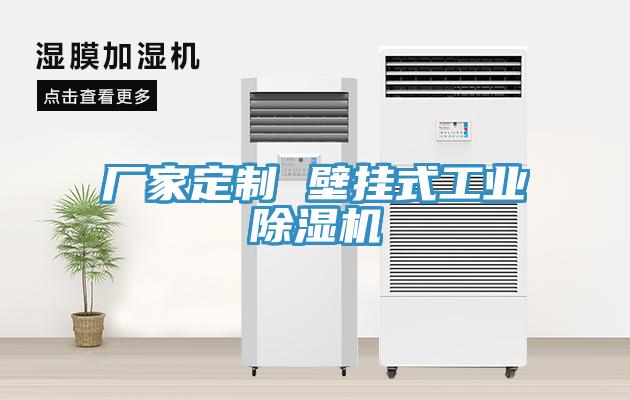 廠家定制 壁掛式工業除濕機