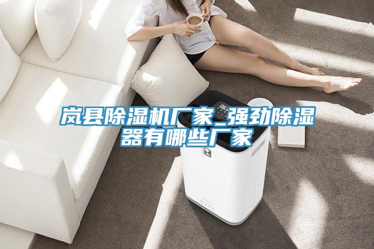 嵐縣除濕機廠家_強勁除濕器有哪些廠家