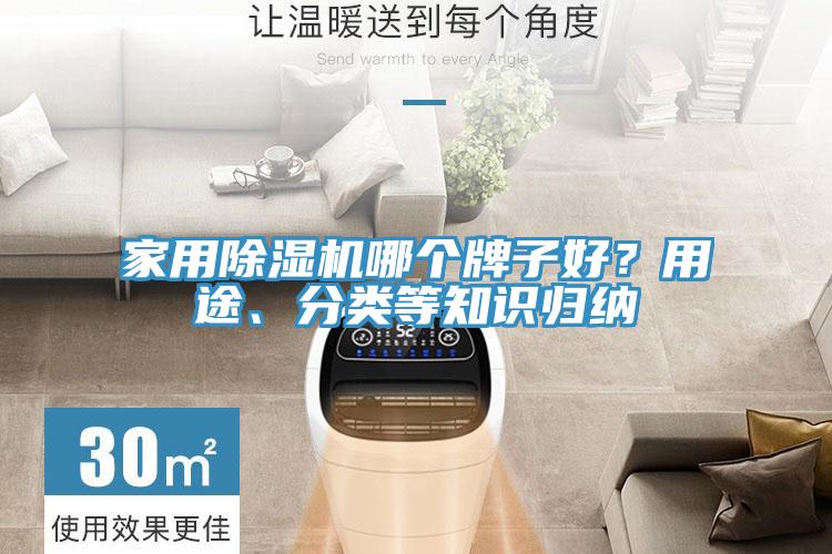 家用除濕機哪個牌子好?用途、分類等知識歸納