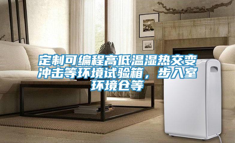 定制可編程高低溫濕熱交變沖擊等環境試驗箱,步入室環境倉等