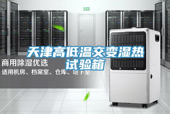 天津高低溫交變濕熱試驗(yàn)箱