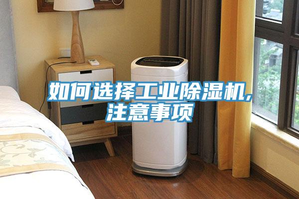 如何選擇工業除濕機,注意事項