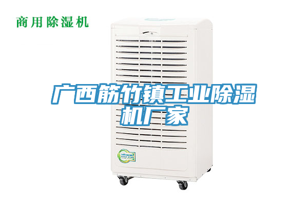 廣西筋竹鎮(zhèn)工業(yè)除濕機(jī)廠家