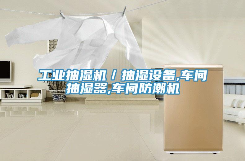 工業抽濕機/抽濕設備,車間抽濕器,車間防潮機