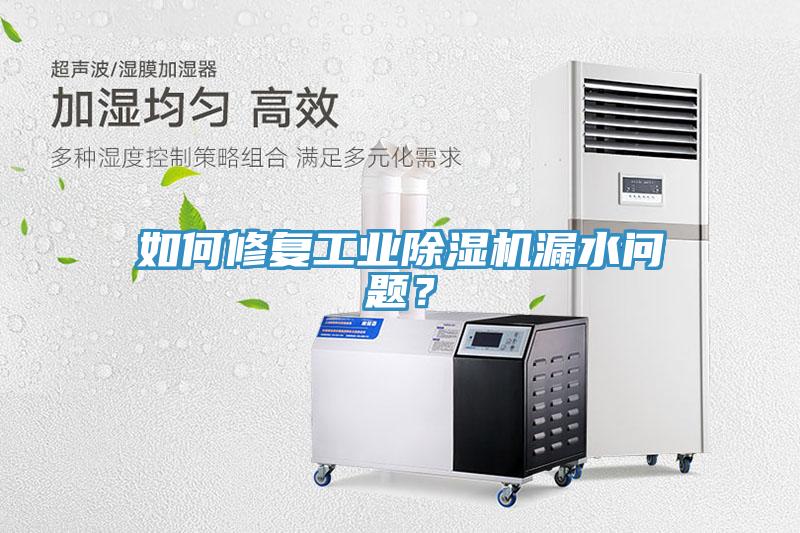 如何修復工業除濕機漏水問題?