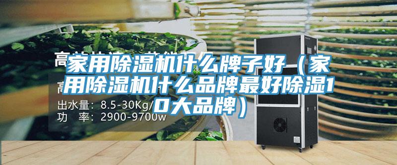 家用除濕機(jī)什么牌子好(家用除濕機(jī)什么品牌最好除濕10大品牌)