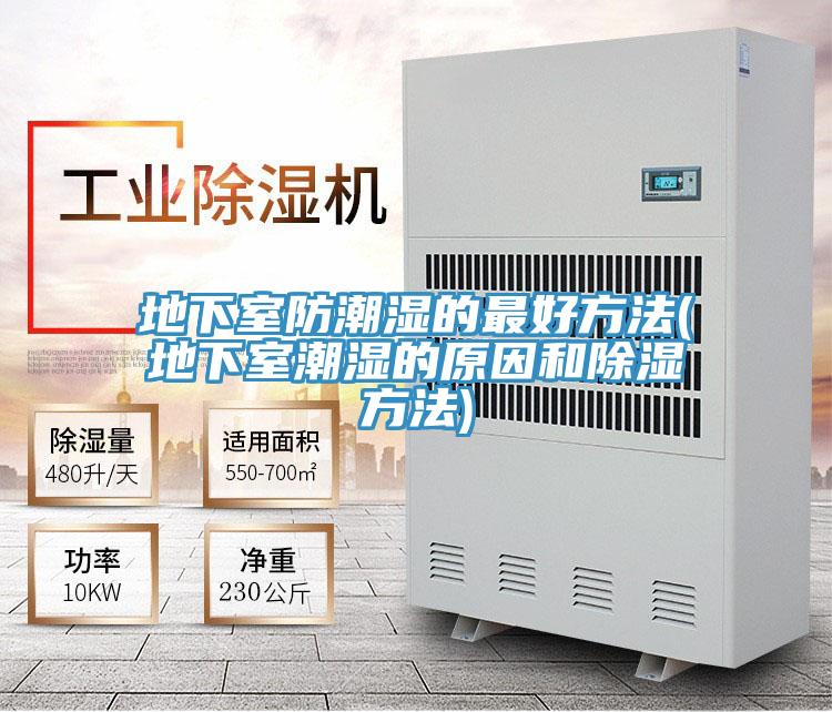地下室防潮濕的最好方法(地下室潮濕的原因和除濕方法)