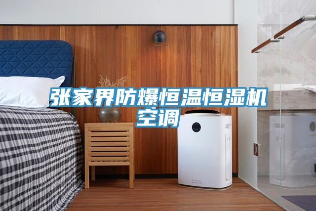 張家界防爆恒溫恒濕機空調
