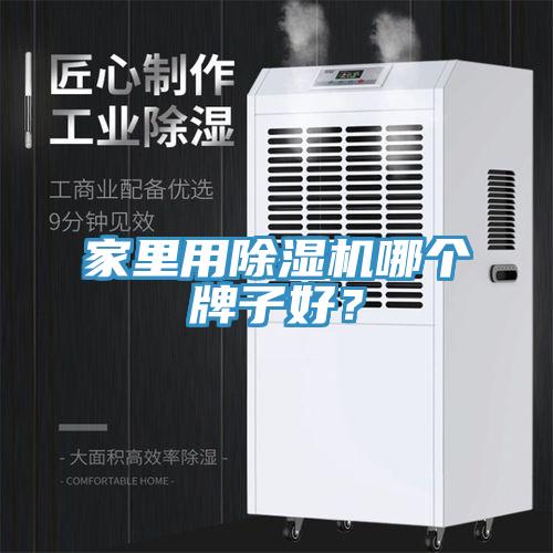 家里用除濕機(jī)哪個(gè)牌子好？