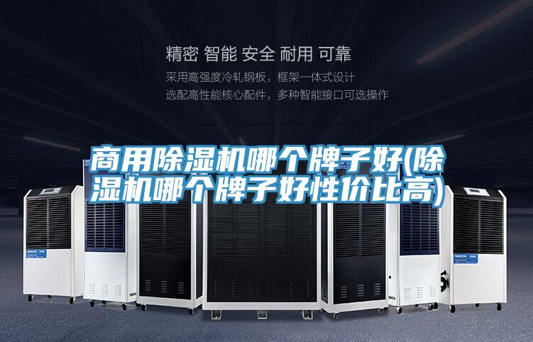 商用除濕機哪個牌子好(除濕機哪個牌子好性價比高)