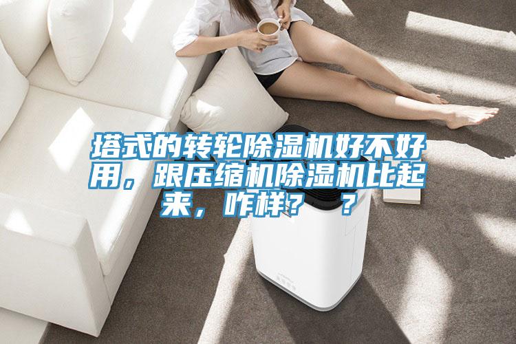 塔式的轉輪除濕機好不好用,跟壓縮機除濕機比起來,咋樣? ?