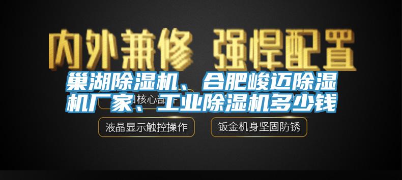 巢湖除濕機、合肥峻邁除濕機廠家、工業除濕機多少錢