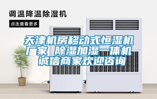 天津機房移動式恒濕機廠家 除濕加濕一體機 誠信商家歡迎咨詢