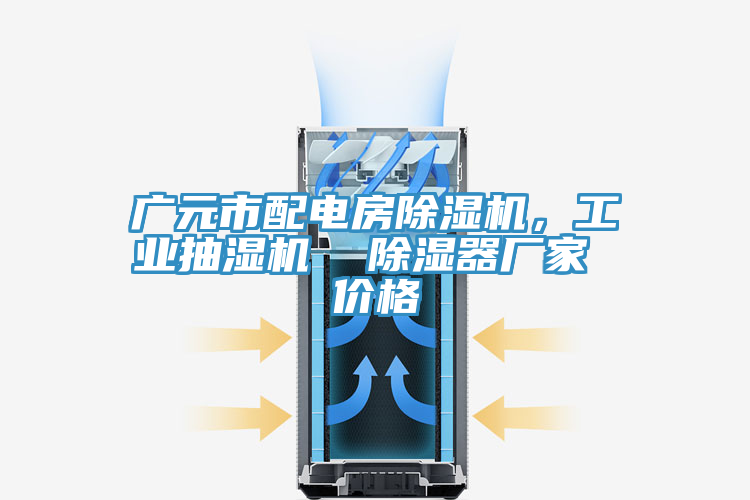 廣元市配電房除濕機,工業(yè)抽濕機 除濕器廠家 價格