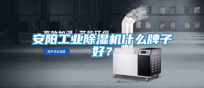 安陽工業除濕機什么牌子好?