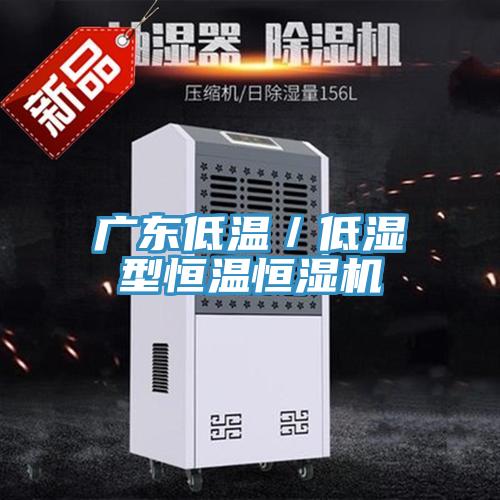 廣東低溫/低濕型恒溫恒濕機(jī)