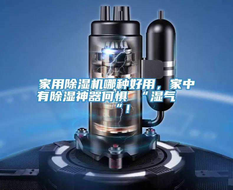家用除濕機哪種好用，家中有除濕神器何懼 “濕氣 “！