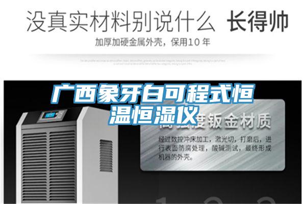 廣西象牙白可程式恒溫恒濕儀