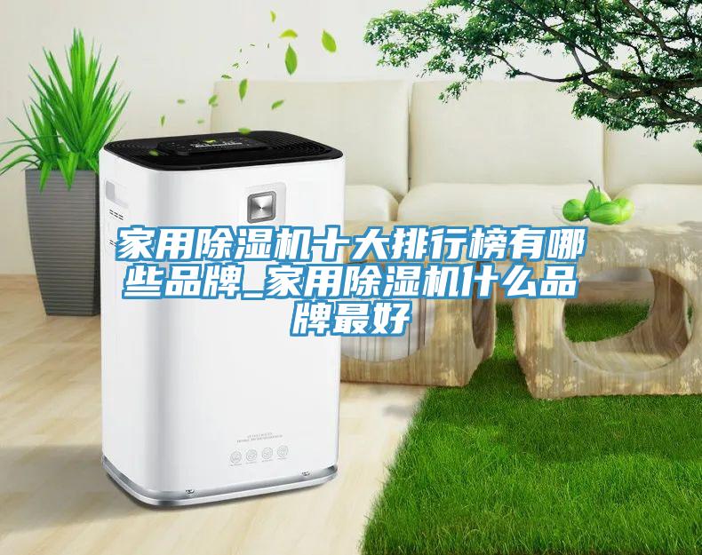 家用除濕機十大排行榜有哪些品牌_家用除濕機什么品牌最好