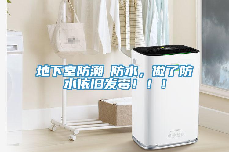 地下室防潮≠防水，做了防水依舊發霉！！！