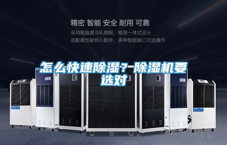 怎么快速除濕？除濕機要選對