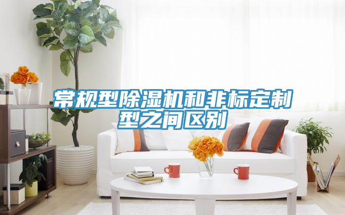 常規(guī)型除濕機(jī)和非標(biāo)定制型之間區(qū)別