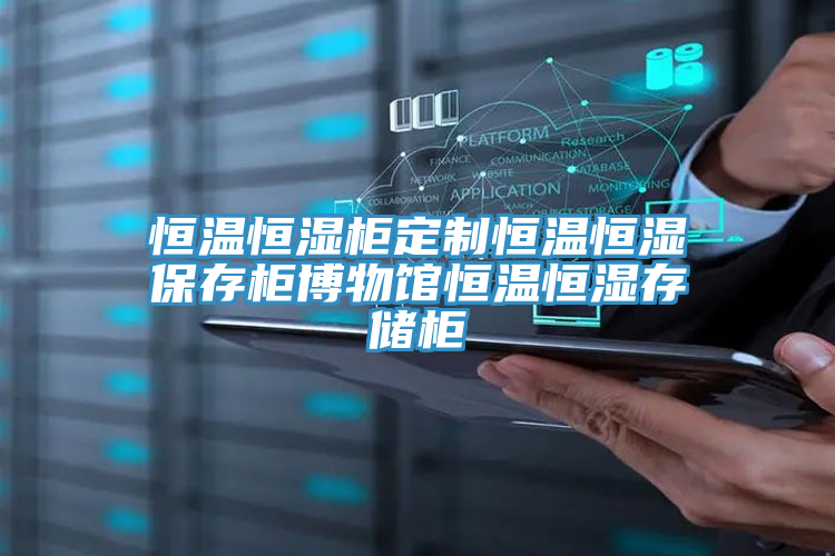 恒溫恒濕柜定制恒溫恒濕保存柜博物館恒溫恒濕存儲(chǔ)柜