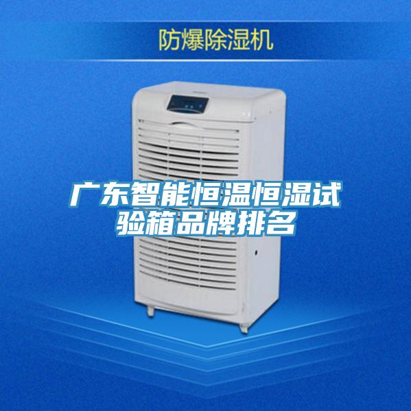 廣東智能恒溫恒濕試驗(yàn)箱品牌排名