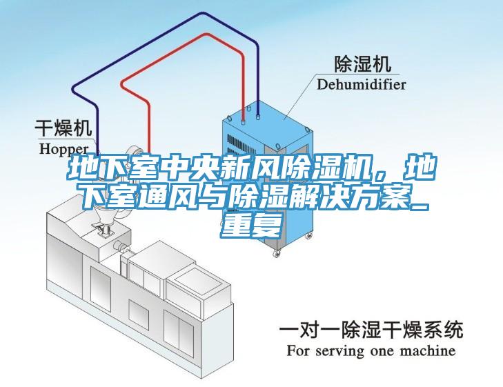地下室中央新風除濕機,地下室通風與除濕解決方案_重復