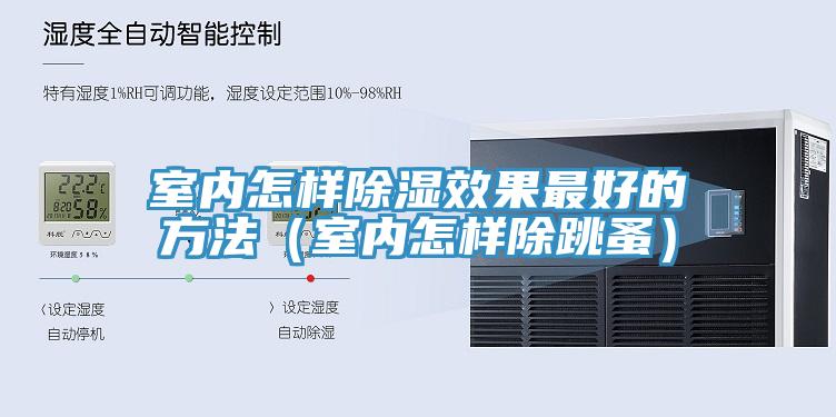 室內怎樣除濕效果最好的方法(室內怎樣除跳蚤)