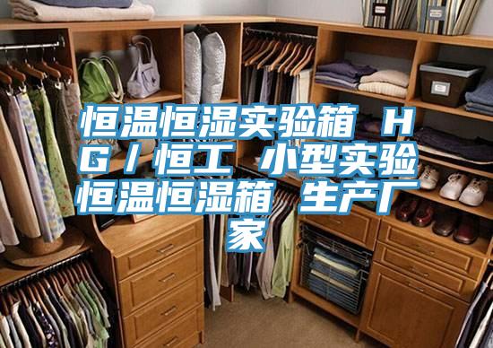 恒溫恒濕實驗箱 HG/恒工 小型實驗恒溫恒濕箱 生產廠家