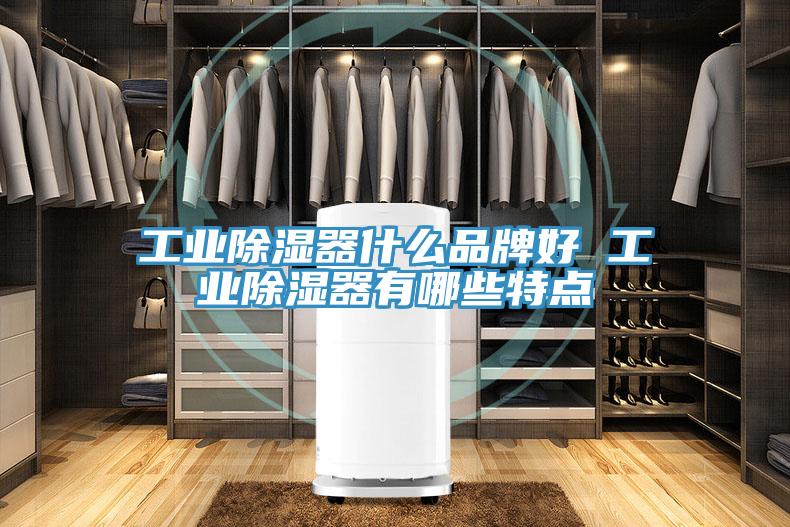 工業(yè)除濕器什么品牌好 工業(yè)除濕器有哪些特點(diǎn)