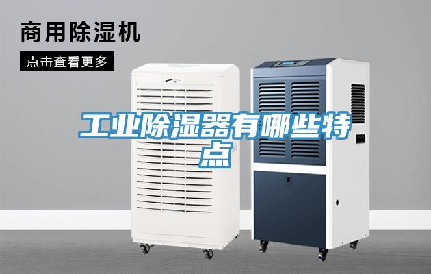 工業(yè)除濕器有哪些特點(diǎn)
