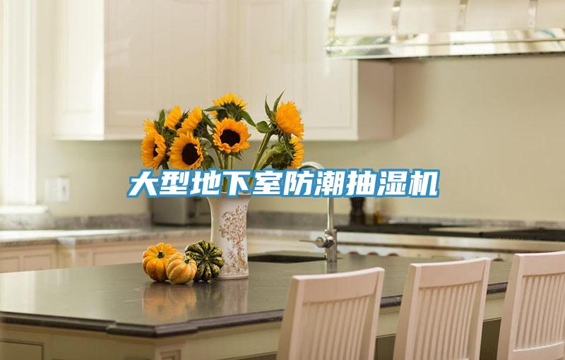 大型地下室防潮抽濕機(jī)