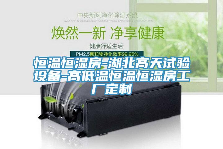 恒溫恒濕房-湖北高天試驗設備-高低溫恒溫恒濕房工廠定制