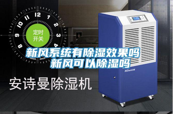 新風系統有除濕效果嗎  新風可以除濕嗎