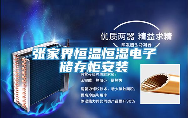 張家界恒溫恒濕電子儲(chǔ)存柜安裝