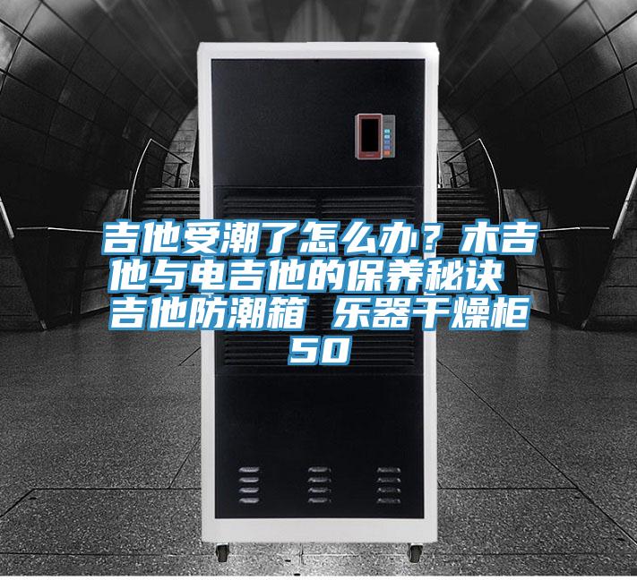 吉他受潮了怎么辦?木吉他與電吉他的保養秘訣 吉他防潮箱 樂器干燥柜50